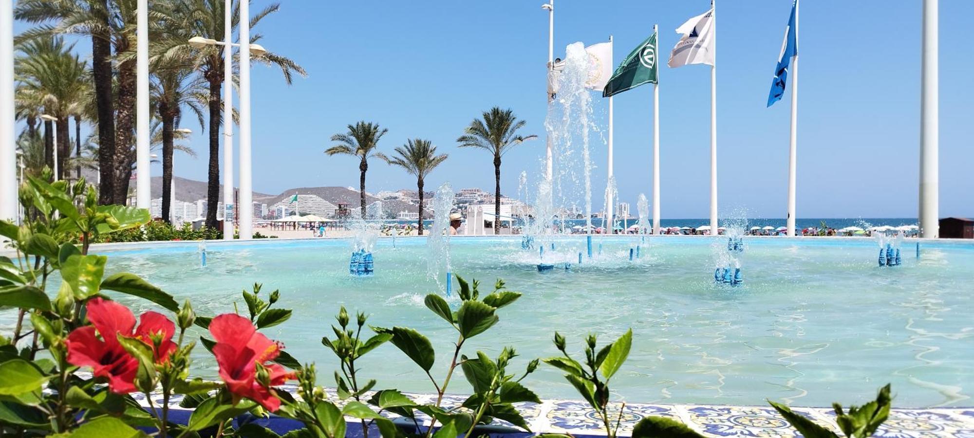 Confort Playa * Cullera