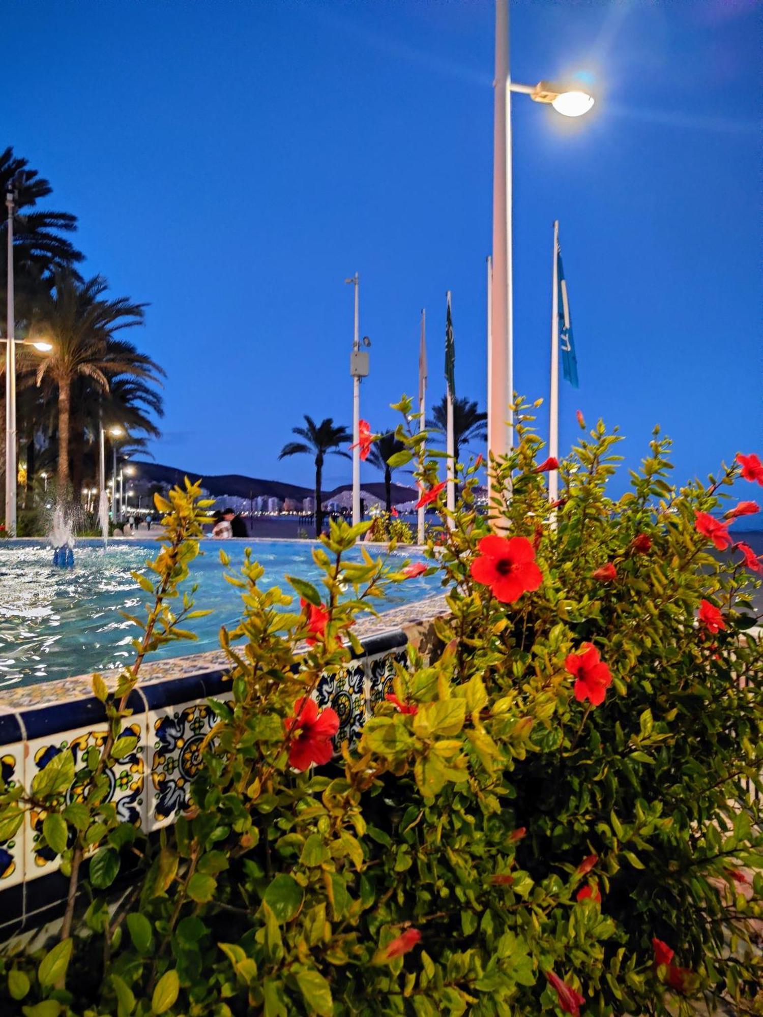 Apartment Confort Playa